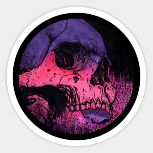 Icon Disc Purple Fade Skull Sticker